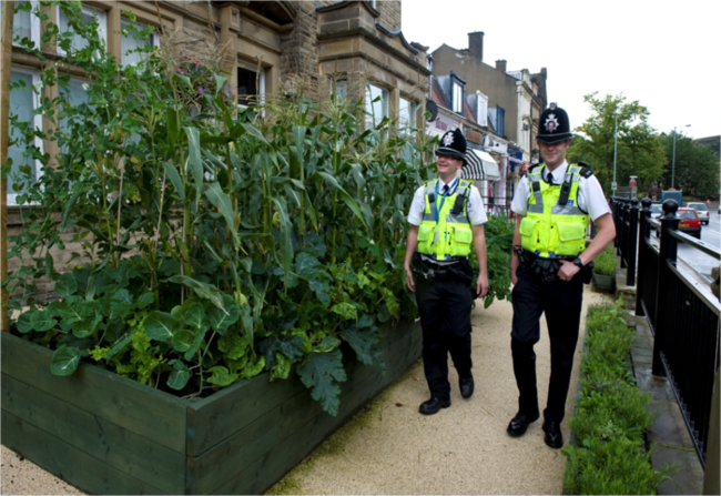 Food growing outside the police station in Todmorden. Photo: Locality. 