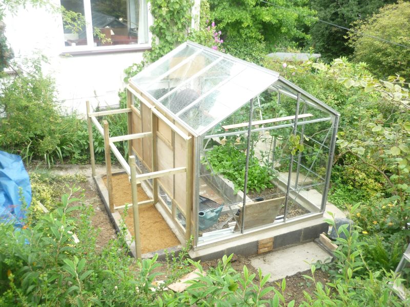 Should You Put Chickens in Your Greenhouse?