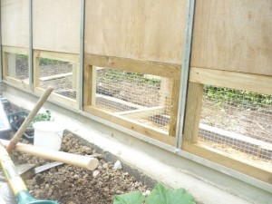 chickengreenhouse3