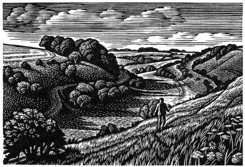 dfwoodcut