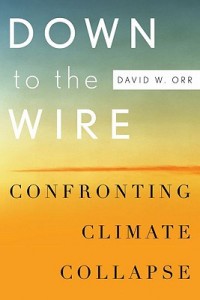 down-to-the-wire-confronting-climate-collapse