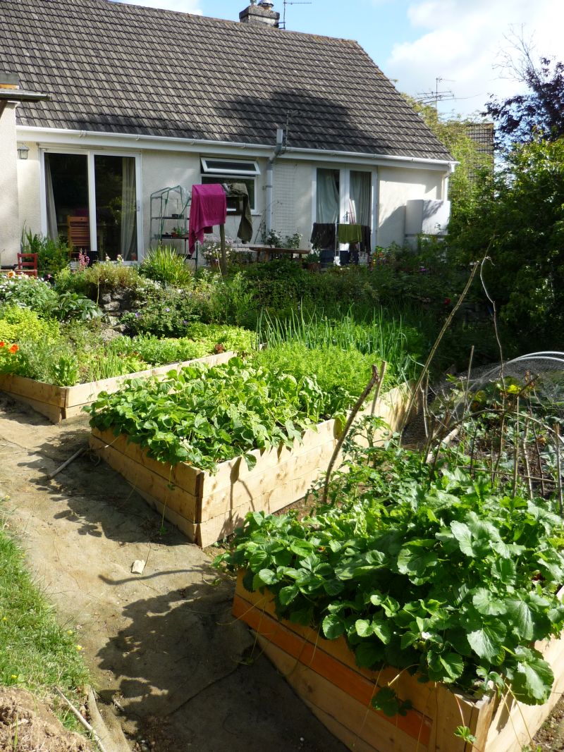 Wonderful Suggestions For Increasing Your Very Own Organic and natural Garden 2
