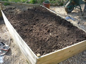 The compost in situ in one of the raised beds.