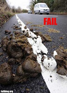 "Road Paint Fail"