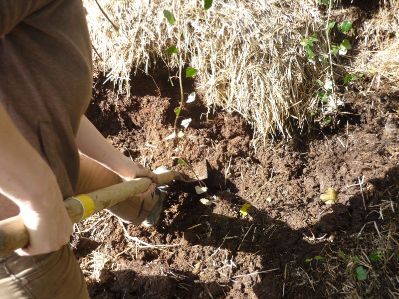 Compost'Âge