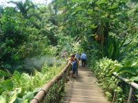 eden1
