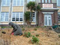 gardening