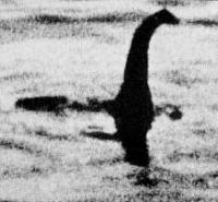 nessie